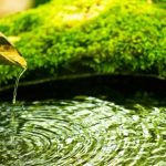 【画像】正倉院宝物のミイラ「虹龍」の正体、ついに判明キタァアアアアアーーーーー！！