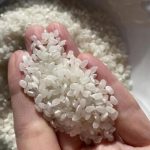 【戦慄】ベトナム人が売ってた『お米』、恐ろしい事実が判明してしまう・・・・・