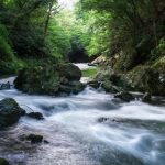 【戦慄】埼玉県、ガチで『危険な状態』になってる模様・・・・・