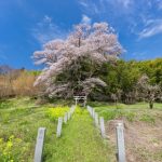 【速報】福島県で『異常事態』が発生してしまう・・・・