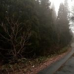 【悲報】岡山県の山中で『恐ろしい物』が発見された結果・・・・