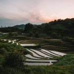 【悲報】日本の農業、ガチで窮地に立たされてしまう・・・・