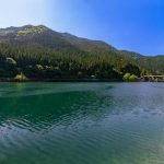 【悲報】奈良県の川で『異常事態』が発生した結果・・・・