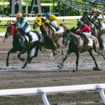 【悲報】東京競馬場でバトルが『勃発』