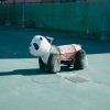 【画像】アドベンチャーワールドがパンダがいなくなった結果ｗｗｗｗｗｗｗｗ